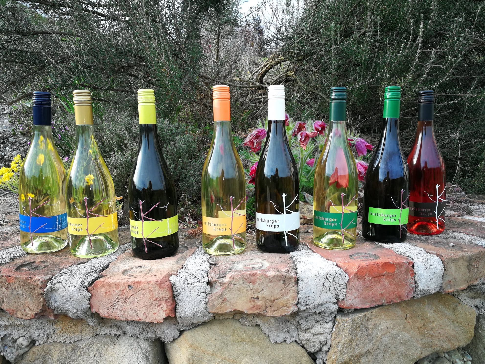 unsere Weine