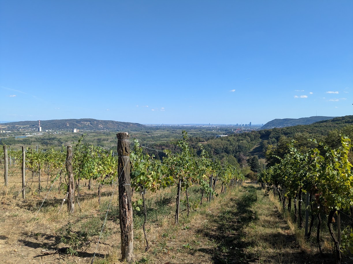 Weingarten